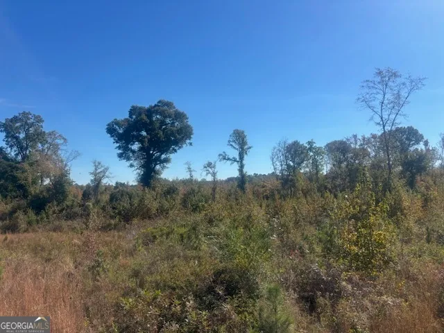 a view of a dry yard with trees
