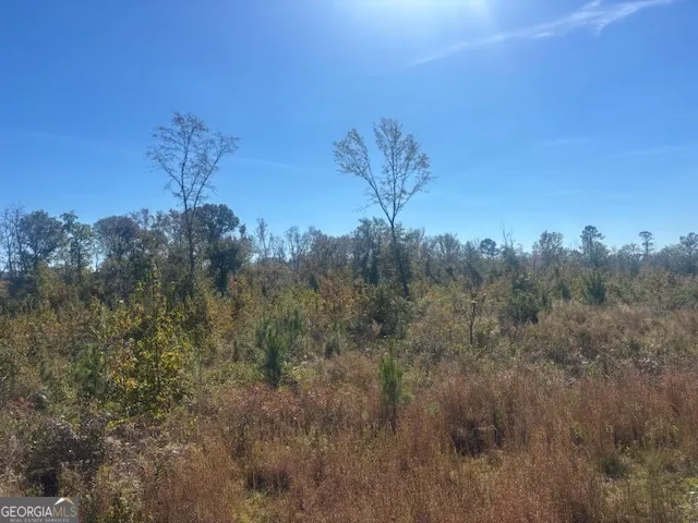 a view of a dry yard with trees