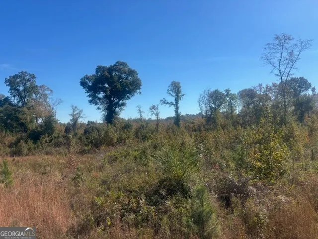a view of a big yard with lots of bushes