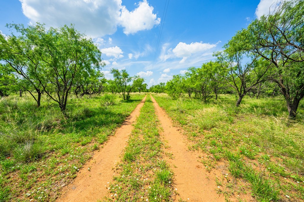 7602 County Road 113 Llano, TX 78643 - Photo 56 of 69