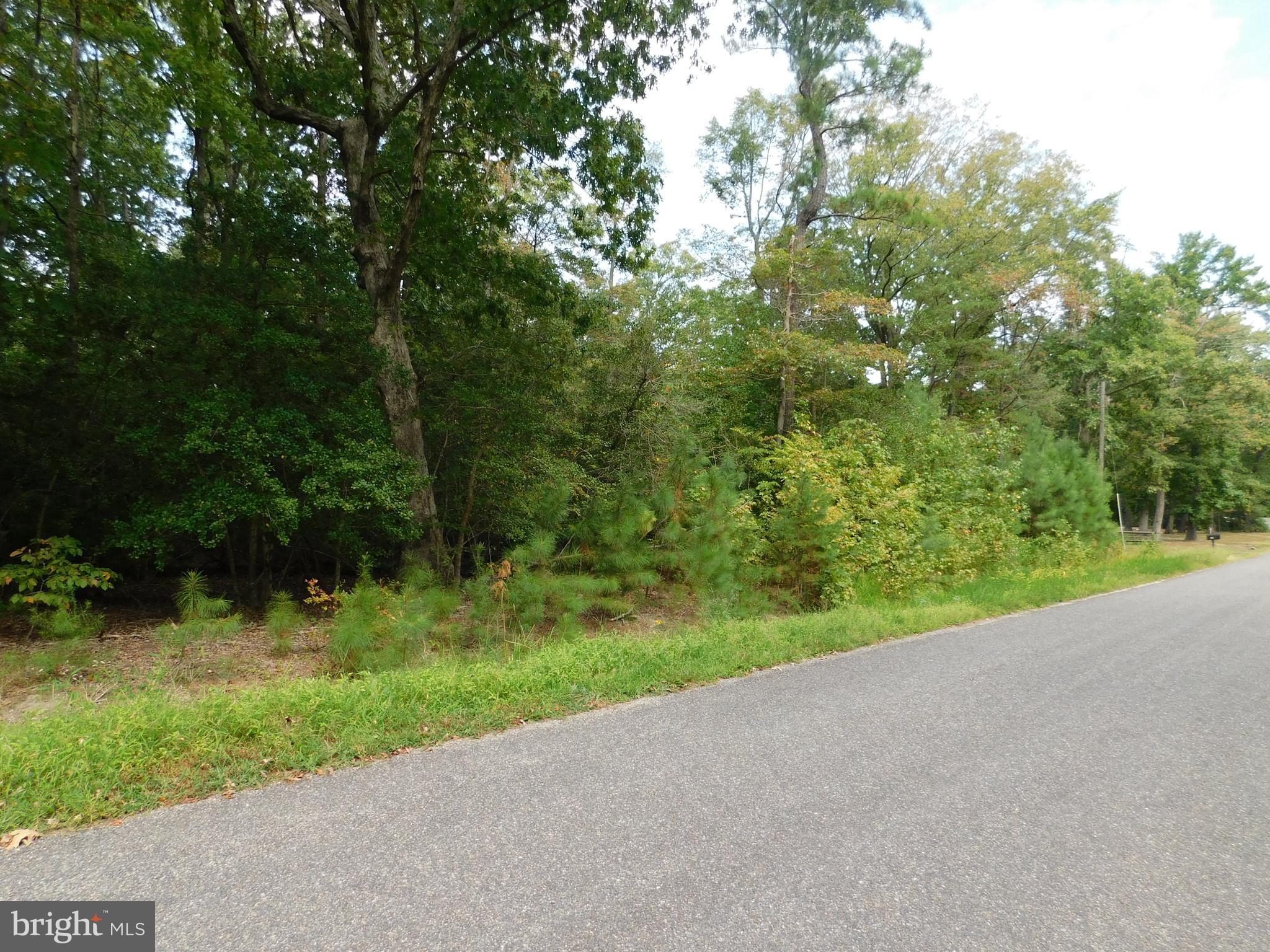 Placid Colonial Beach, VA 22443 - Photo 1 of 3