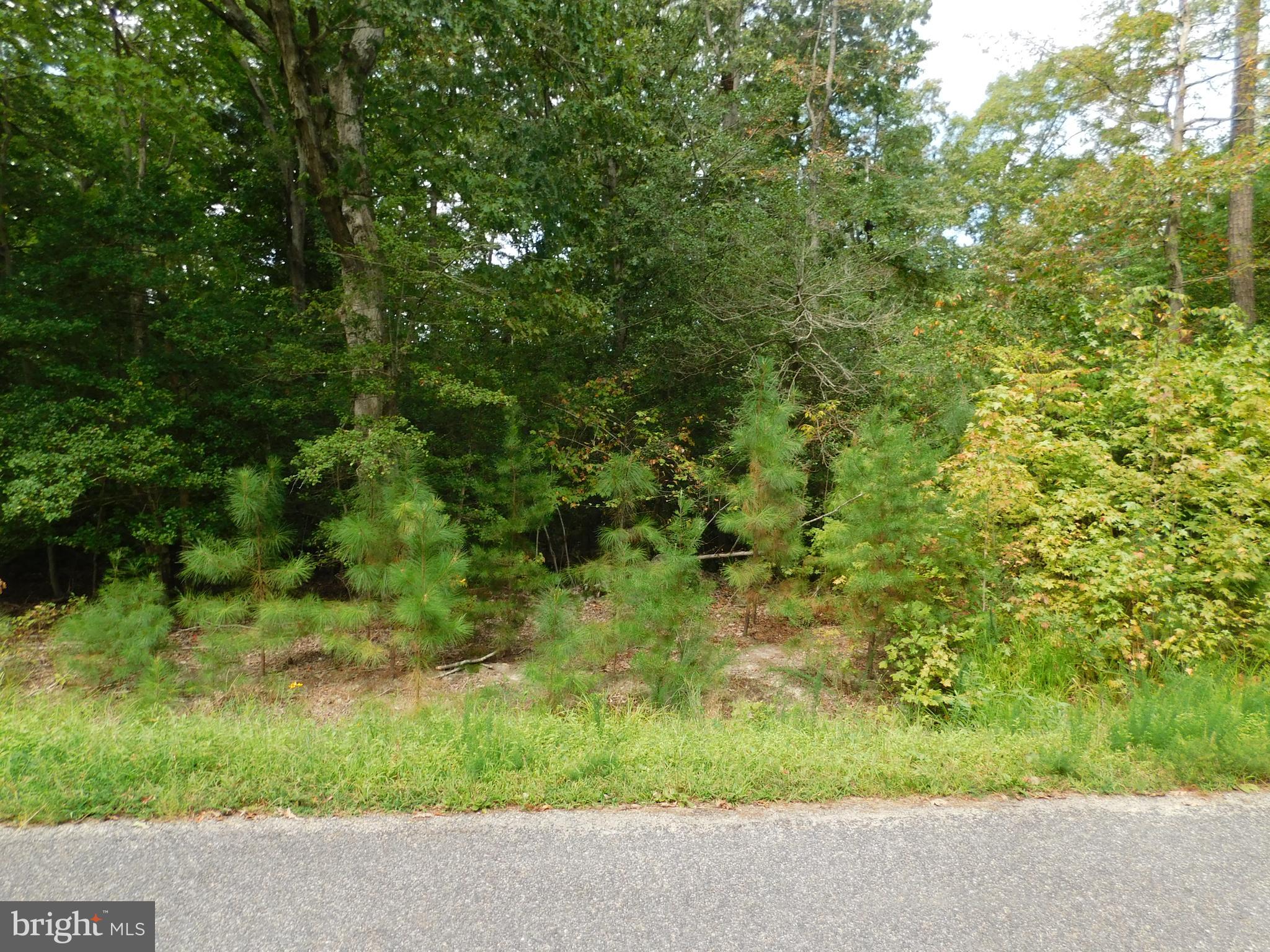 Placid Colonial Beach, VA 22443 - Photo 2 of 3