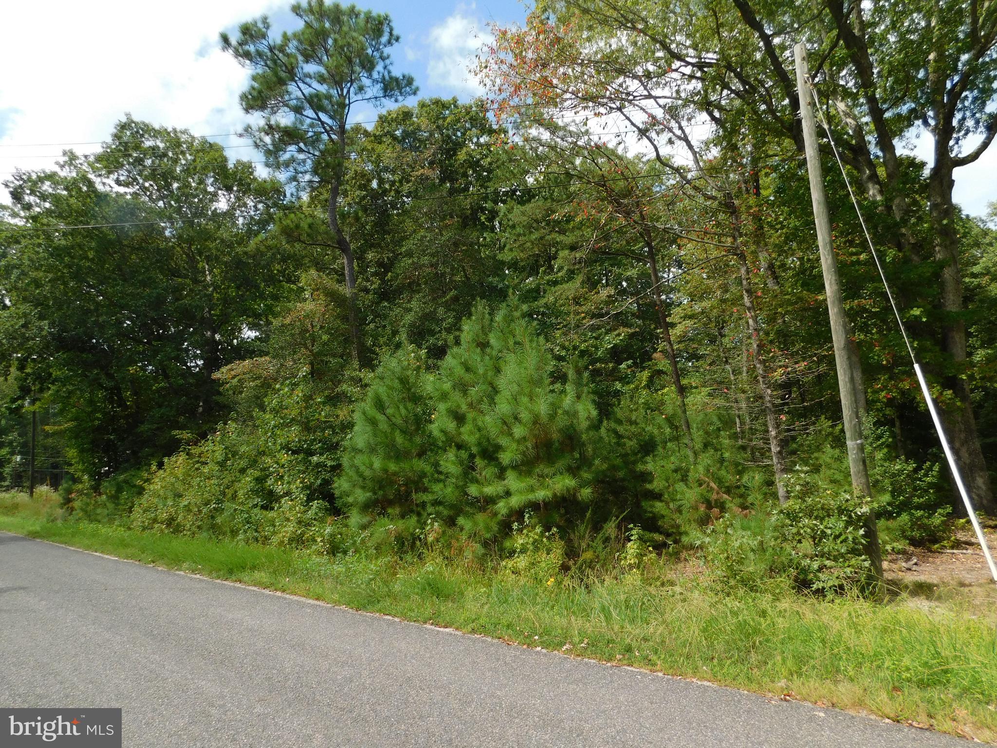 Placid Colonial Beach, VA 22443 - Photo 3 of 3