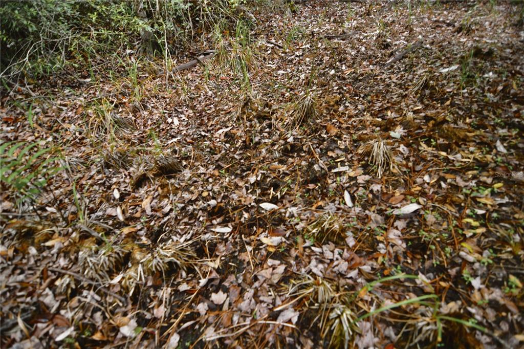 Sweet Gum Road Glen St. Mary, FL 32040 - Photo 27 of 44