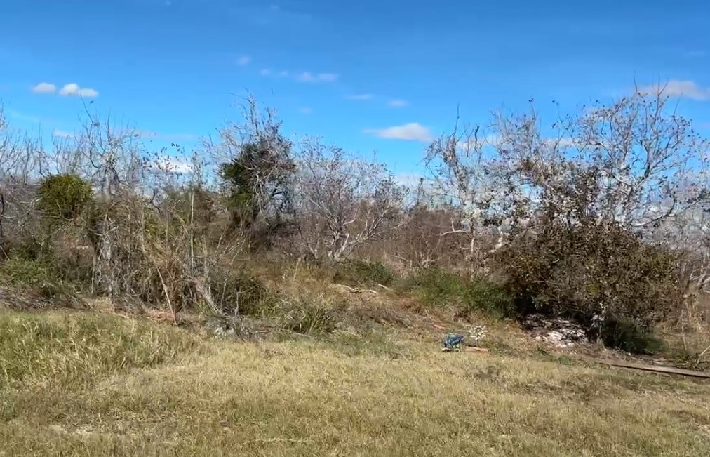 2623 Armstrong Road Aransas Pass, TX 78336 - Photo 12 of 14