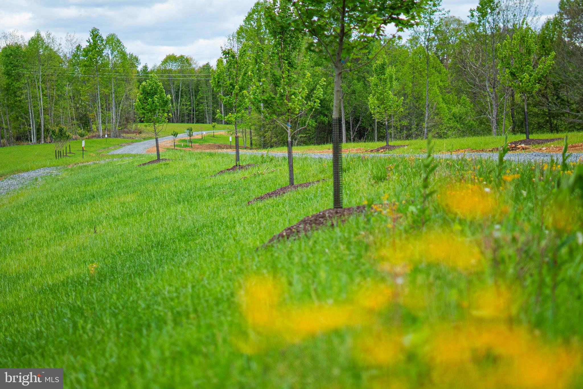 Lot 11 Gauley Ridge Rd Mount Mount Nebo, WV 26679 - Photo 4 of 15