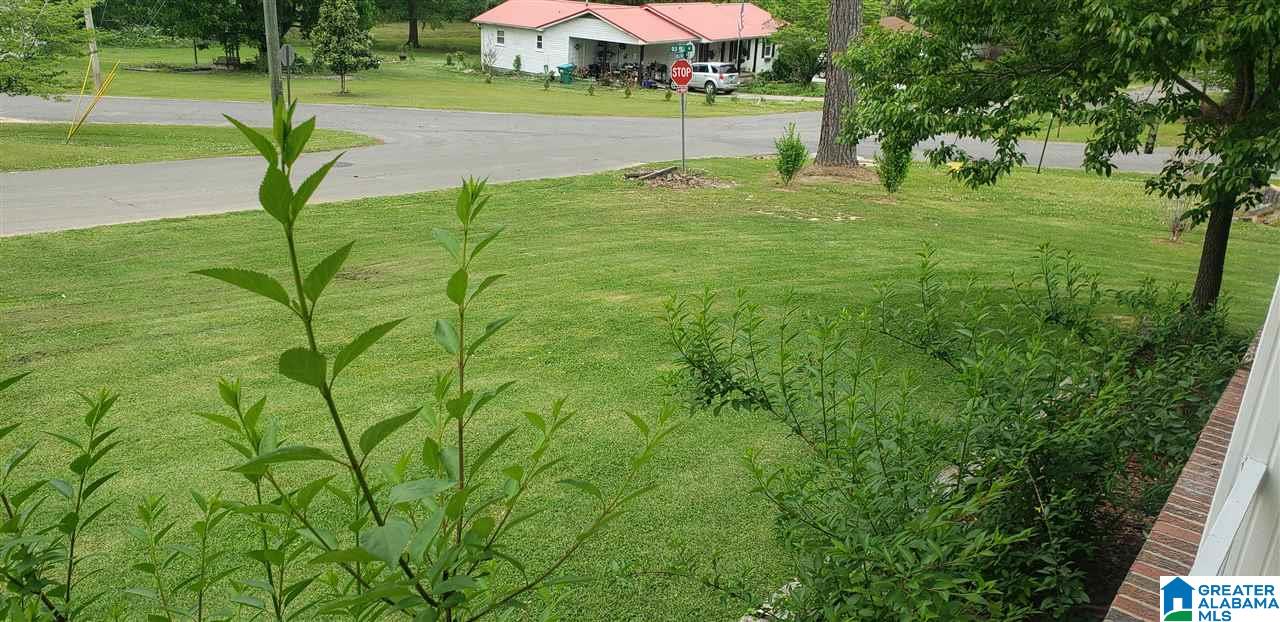 700 Ridgeway Drive Oneonta, AL 35121 - Photo 28 of 32