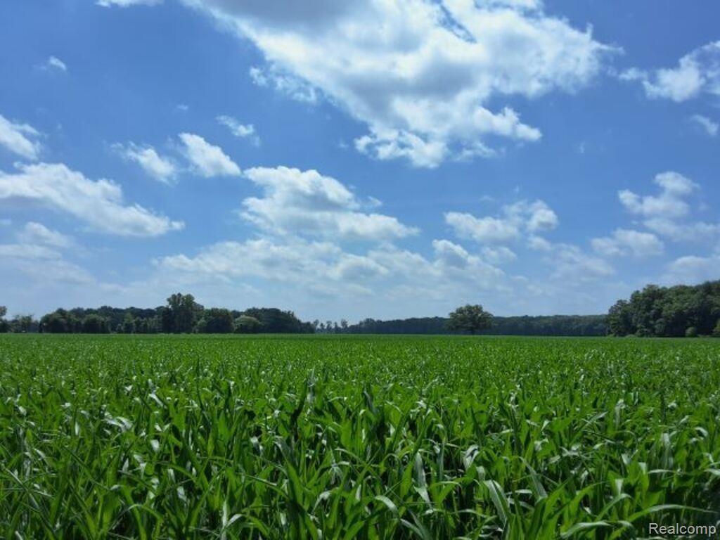 Auction Lot # 2 Auction Road Allenton, MI 48002 - Photo 3 of 4