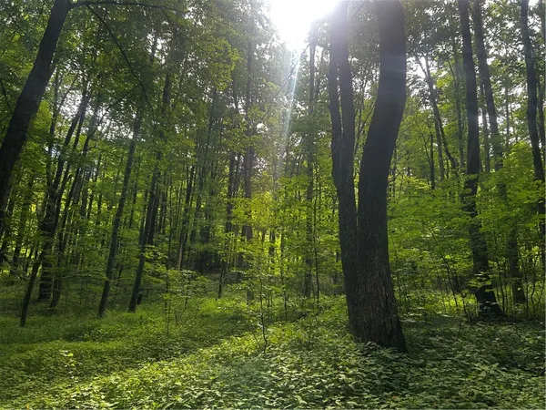 $44,500 | Mereness Road, Worcester, NY 12197