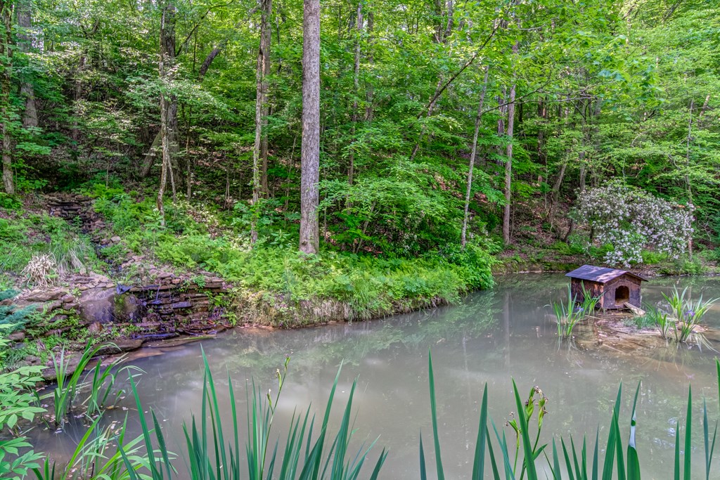 241 Green Ridge Road Jasper, GA 30143 - Photo 88 of 99 Gallery Image 88