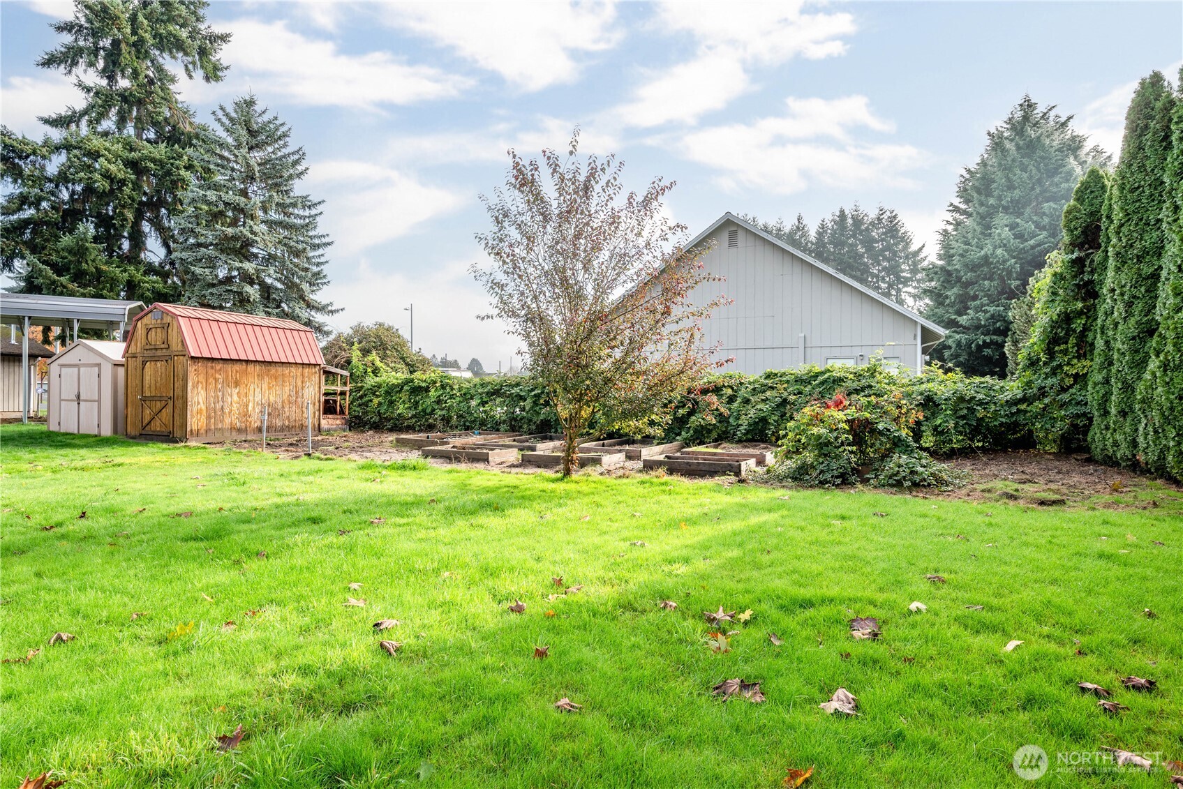 2128 44th Avenue Longview, WA 98632 - Photo 27 of 35 a backyard of a house with plants and large tree