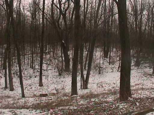 361 Moorefield Road Springfield, OH 45503 - Photo 4 of 8