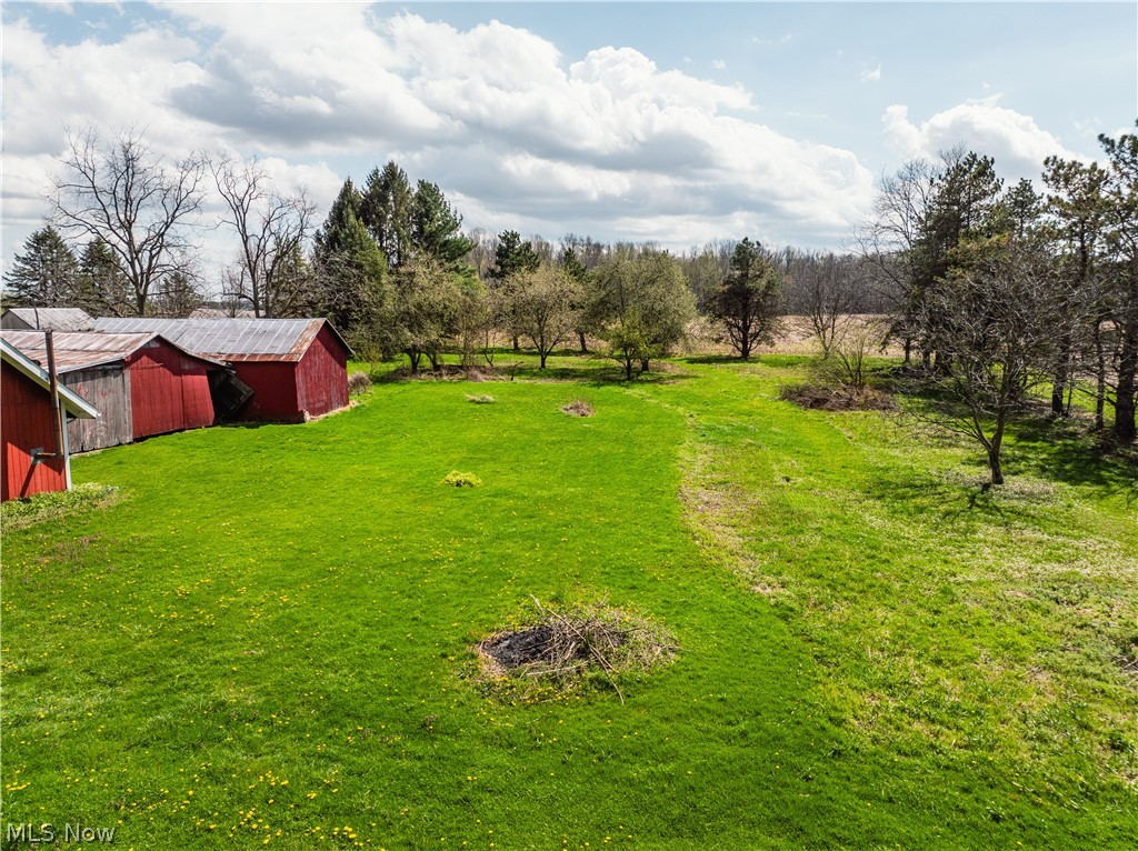 2483 Steiner Road Creston, OH 44217 - Photo 7 of 45