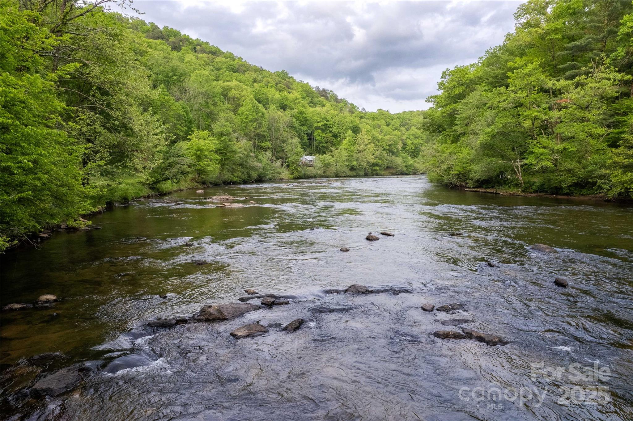 3 Big Trout Road Sylva, NC 28779 - Photo 3 of 4 Gallery Image 3
