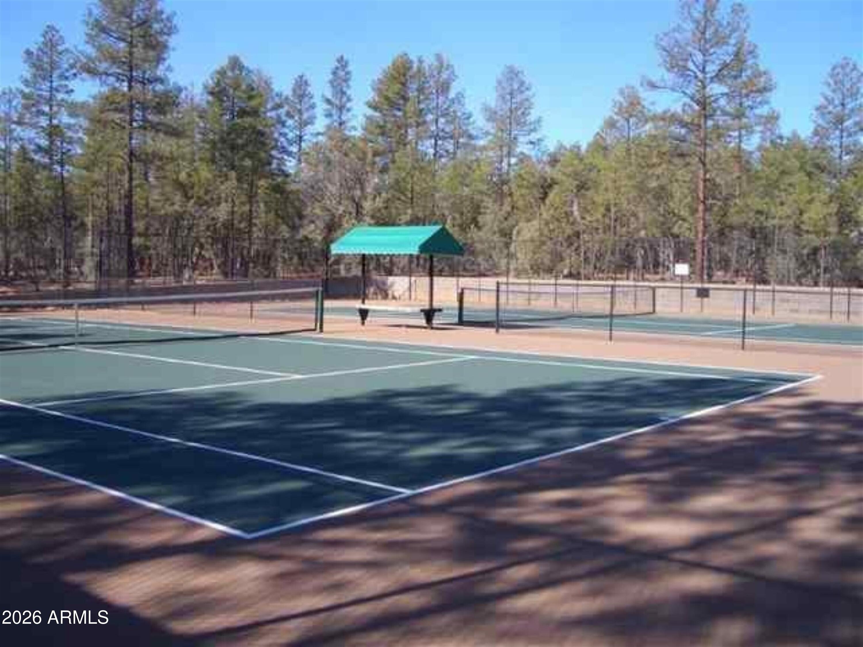 3990 Sugar Pine Loop Show Low, AZ 85901 - Photo 49 of 62 a view of a basketball court