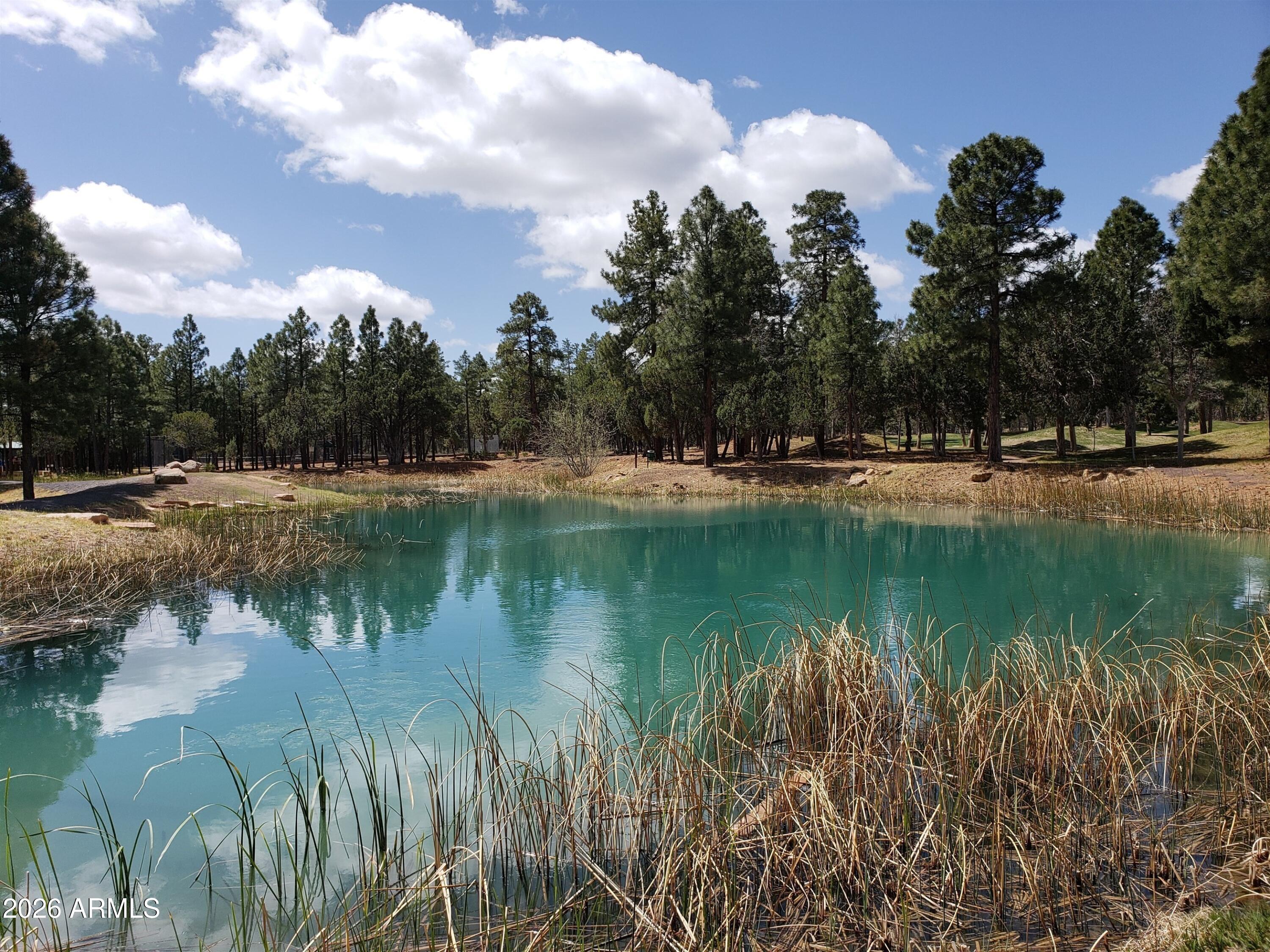 3990 Sugar Pine Loop Show Low, AZ 85901 - Photo 55 of 62 a view of lake with green space