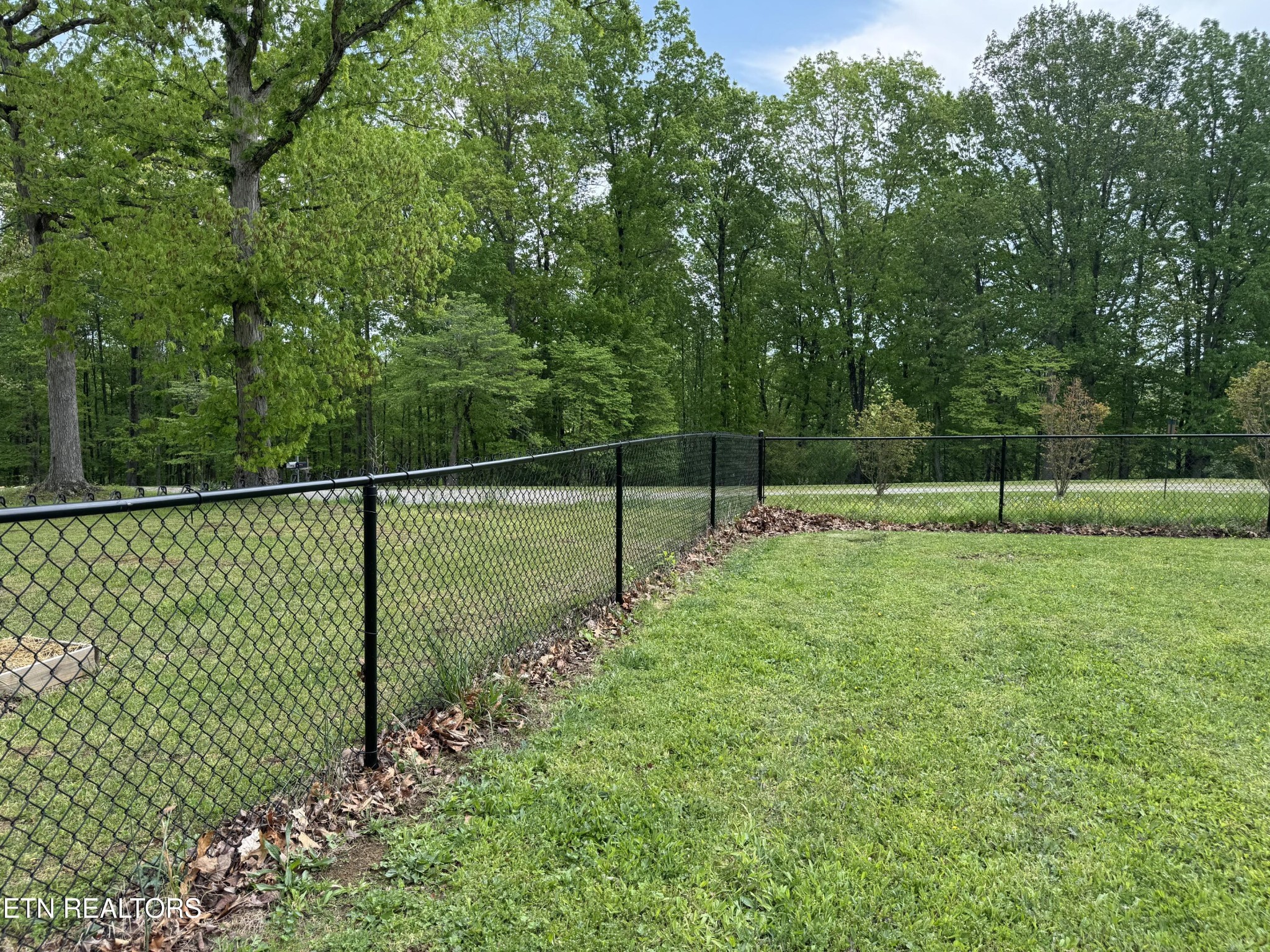 290 Landmark Road Oneida, TN 37841 - Photo 11 of 59