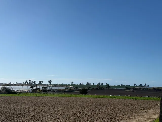 a view of a ocean with boats and trees in the background