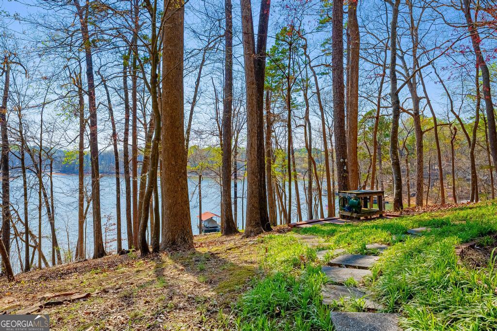 997 Rue Fluer De Lis Lavonia, GA 30553 - Photo 30 of 38 a view of a backyard with potted plants and large trees