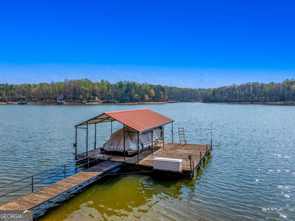 997 Rue Fluer De Lis Lavonia, GA 30553 - Photo 31 of 38 a view of a lake with a table and chairs