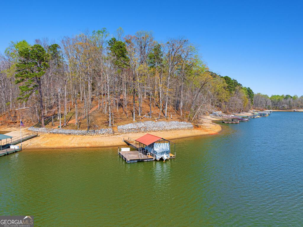 997 Rue Fluer De Lis Lavonia, GA 30553 - Photo 34 of 38 a backyard of a house with table and chairs