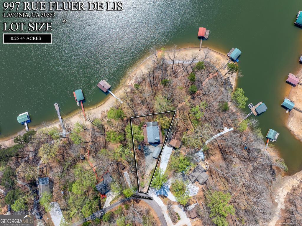 997 Rue Fluer De Lis Lavonia, GA 30553 - Photo 36 of 38 a view of a tree in a backyard