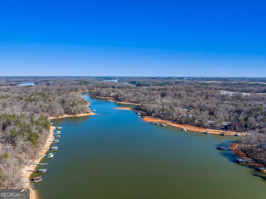 997 Rue Fluer De Lis Lavonia, GA 30553 - Photo 38 of 38 an aerial view of a houses with ocean view