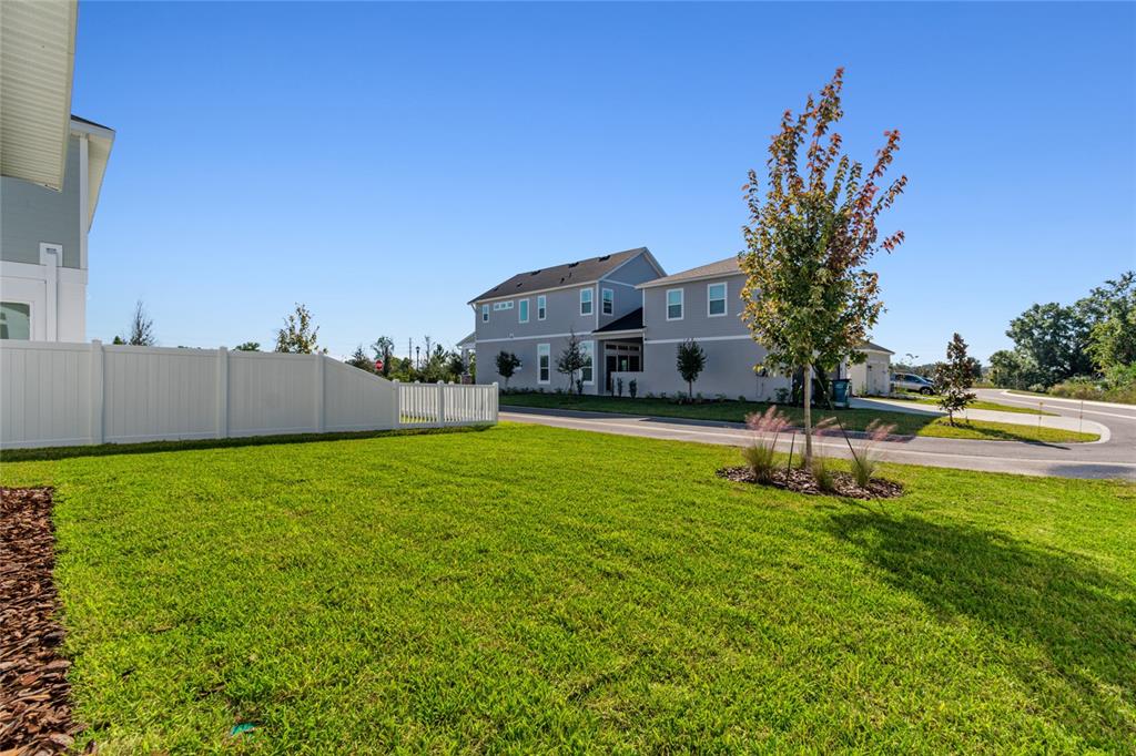 28796 Jujube Road Wesley Chapel, FL 33543 - Photo 50 of 53 Gallery Image 50