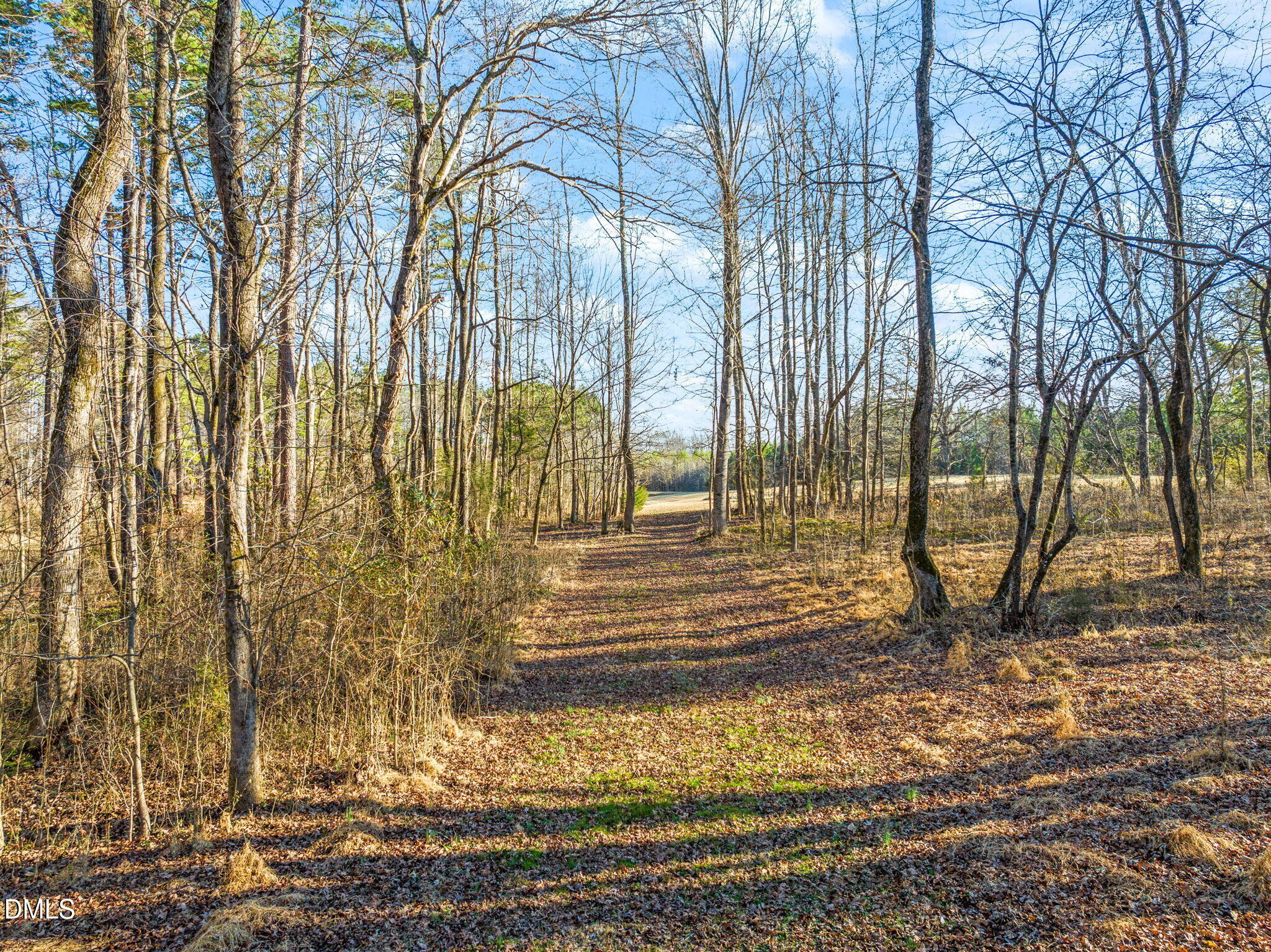 3150 Willards Mill Road Nelson, VA 24580 - Photo 43 of 51 64-web-or-mls-untitled-15