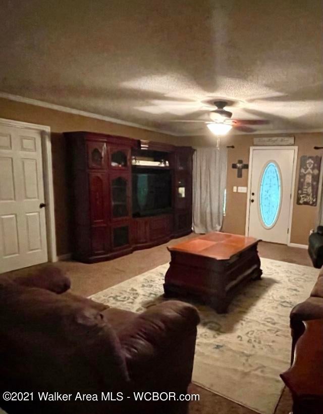 469 Morgan Road Sumiton, AL 35148 - Photo 7 of 18 Gallery Image 7
