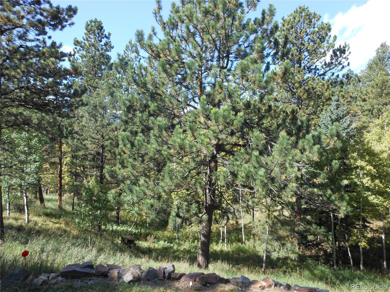 498 Old State Road Bailey, CO 80421 - Photo 28 of 34 Gallery Image 28
