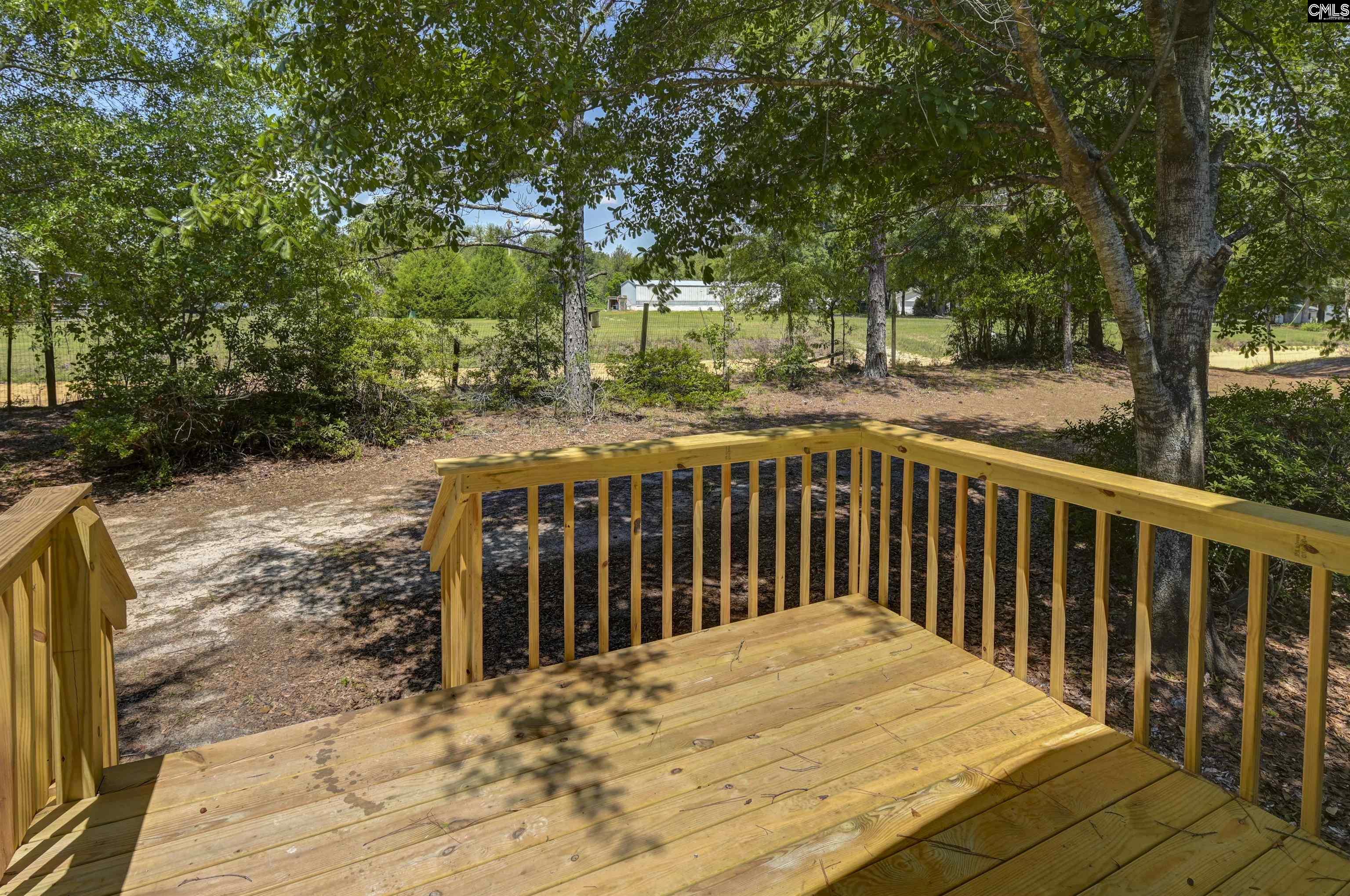 416 Otis Road Pelion, SC 29123 - Photo 3 of 48