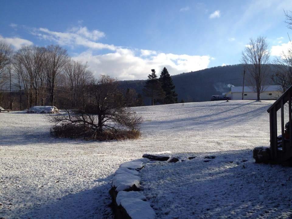 273 Messer Hill Road Plymouth, VT 05056 - Photo 3 of 20 Gallery Image 3