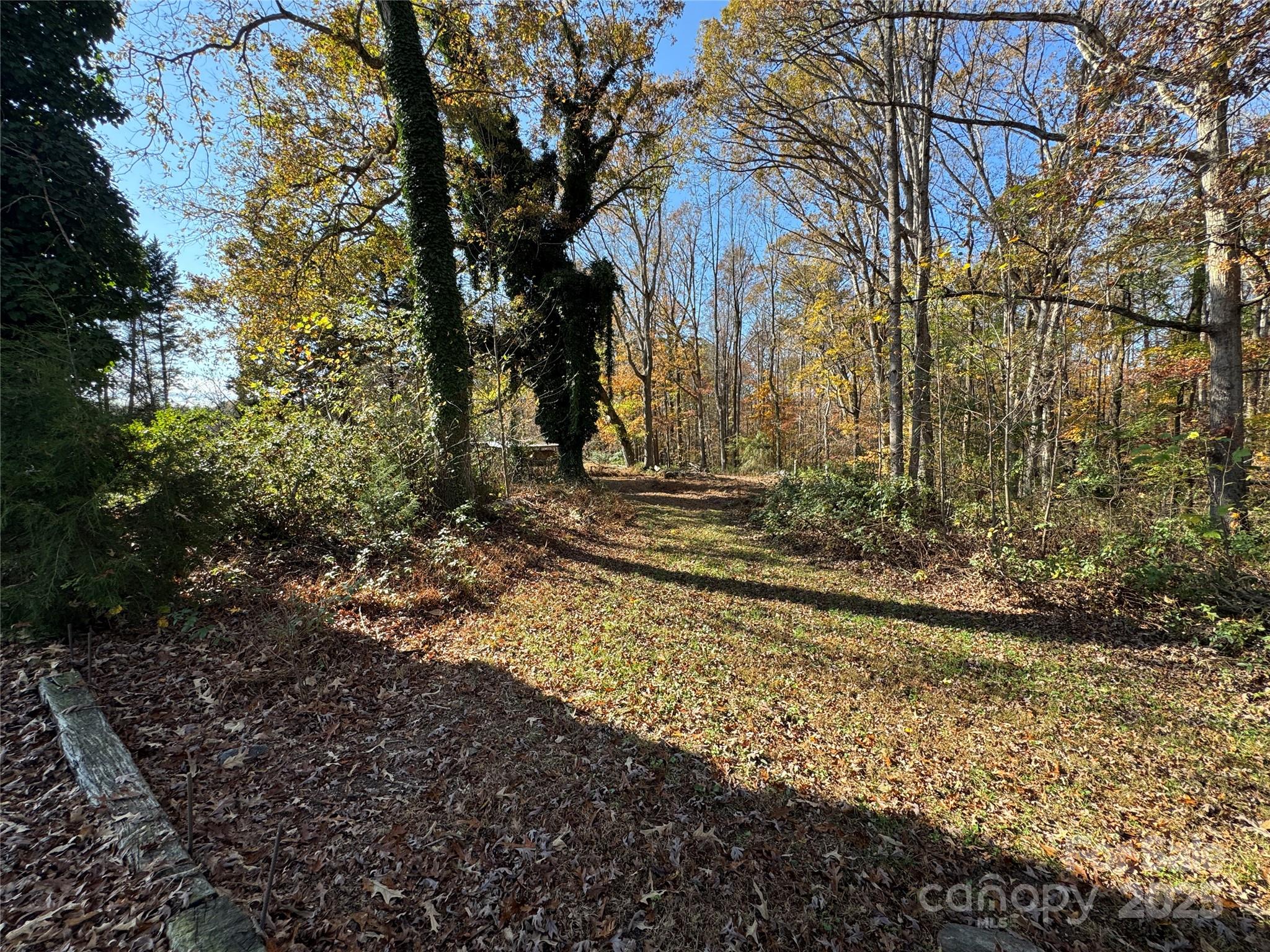 900 Ebenezer Church Road State Road, NC 28676 - Photo 8 of 26 Gallery Image 8