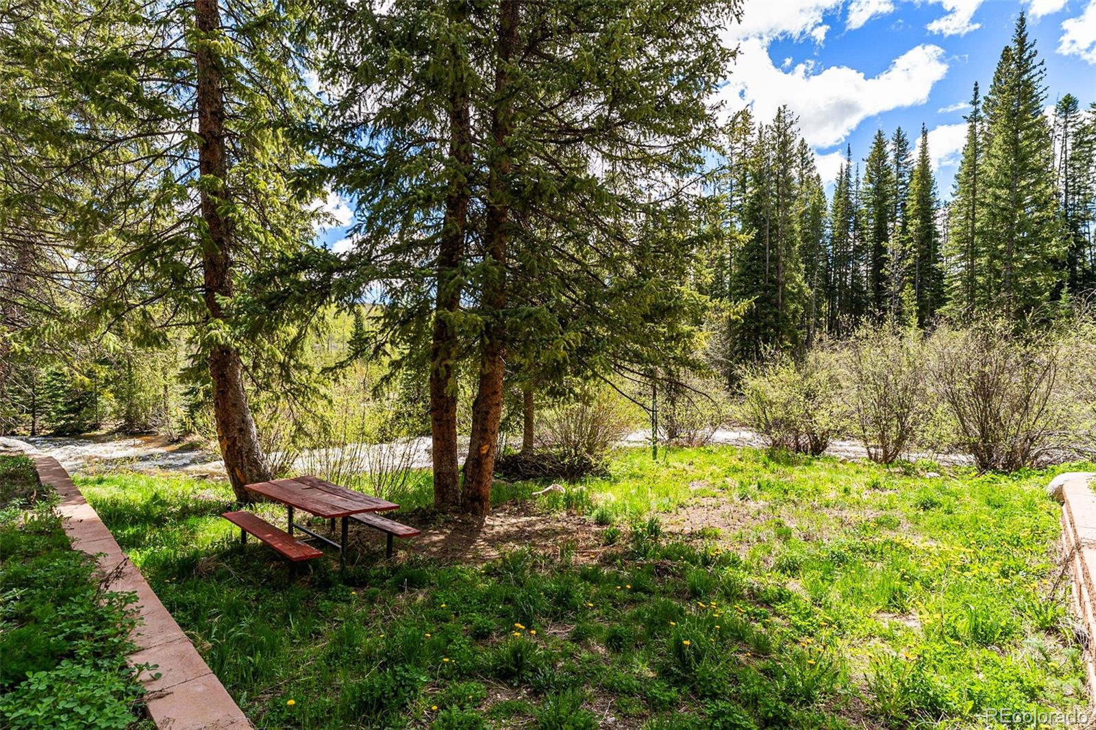 500 Vasquez Road, Unit 7A Winter Park, CO 80482 - Photo 47 of 49 a backyard of a house with table and chairs