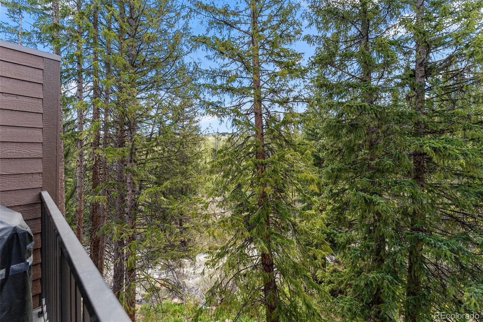 500 Vasquez Road, Unit 7A Winter Park, CO 80482 - Photo 10 of 49 a view of outdoor space and garden