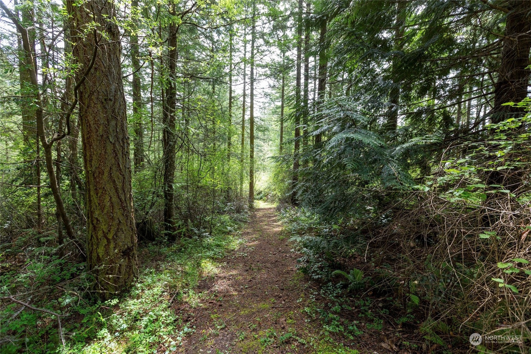 339 Covey Run Road Friday Harbor, WA 98250 - Photo 38 of 40 Gallery Image 38