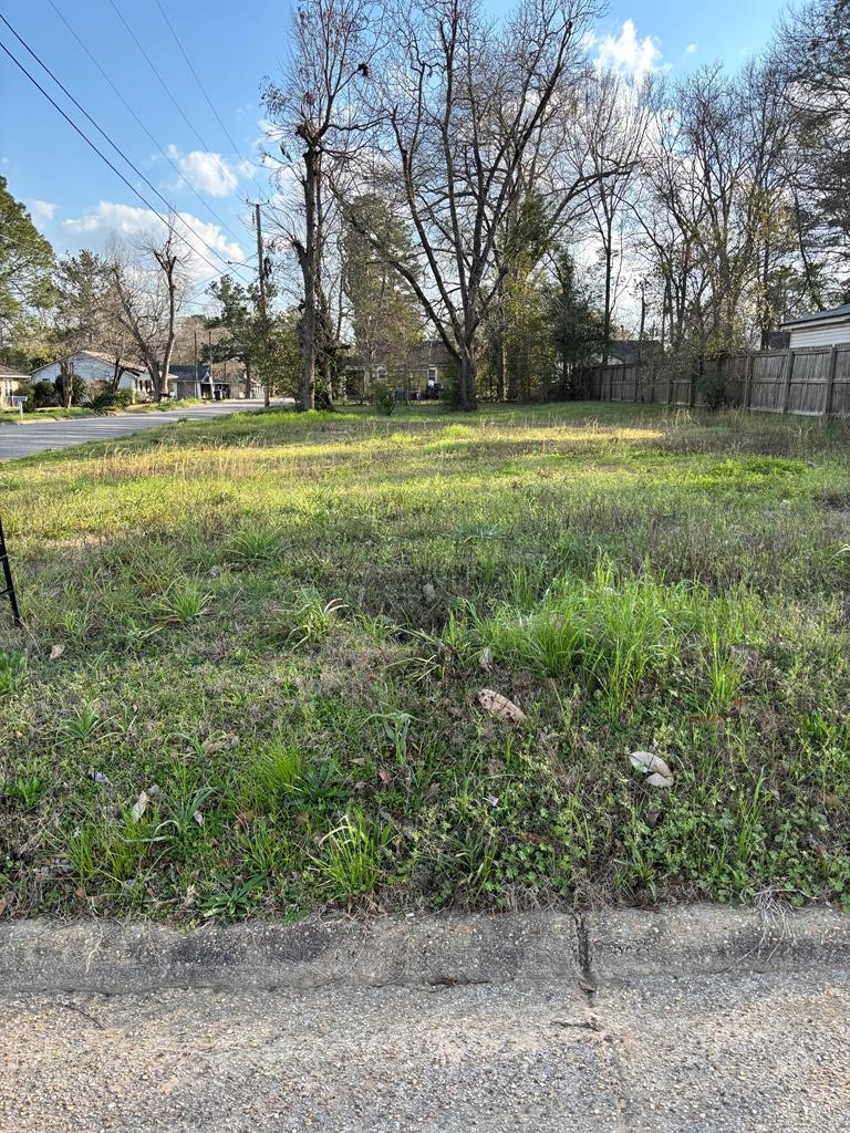 1114 Hamilton Street Dothan, AL 36301 - Photo 1 of 4