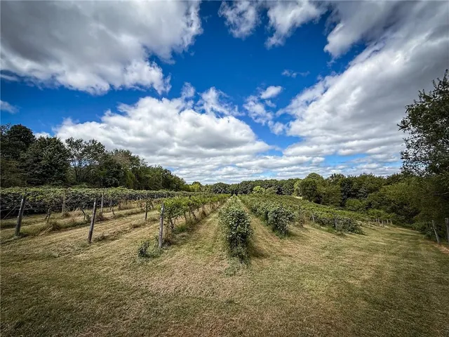 a view of a lake with a city