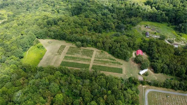 a view of a house in a forest