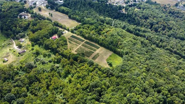 an aerial view of residential houses with outdoor space and trees