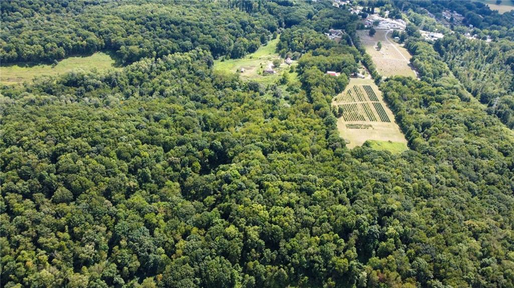 115 Dreher Farm Lane Butler, PA 16002 - Photo 27 of 48 an aerial view of residential houses with outdoor space and trees