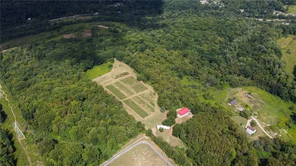 an aerial view of residential house with outdoor space and trees all around