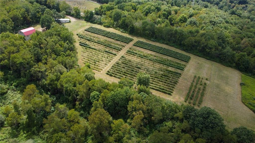 115 Dreher Farm Lane Butler, PA 16002 - Photo 30 of 48 a view of a yard