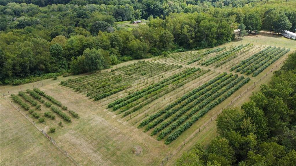 115 Dreher Farm Lane Butler, PA 16002 - Photo 32 of 48 a view of a yard with plants