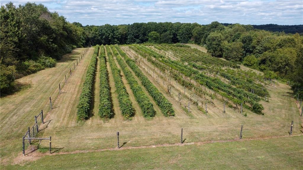 115 Dreher Farm Lane Butler, PA 16002 - Photo 33 of 48 a view of a yard