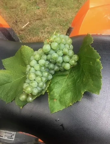 a picture of a table and a painting on the wall