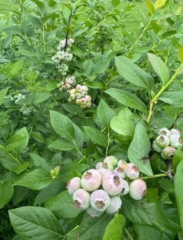 a close view of water heater