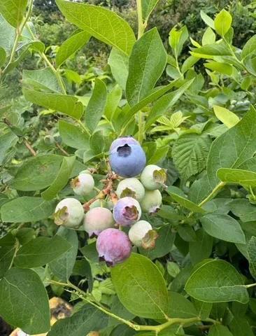 a view of outdoor space