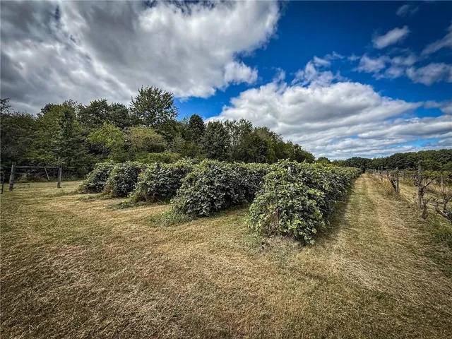 a view of a yard with an outdoor space